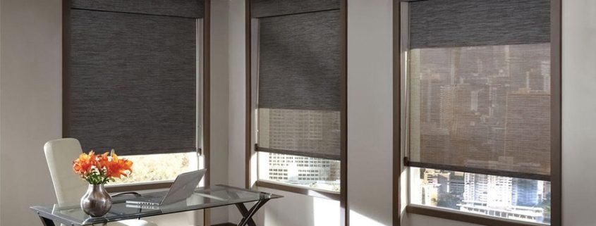 Razones para Elegir Cortinas Roller Sunscreen